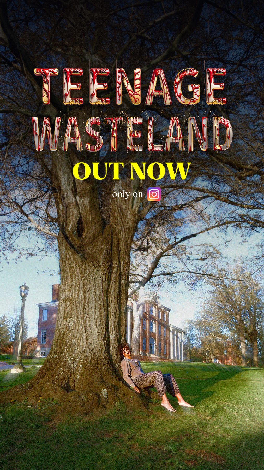 Poster from Teenage Wasteland
